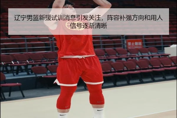 辽宁男篮新援试训消息引发关注，阵容补强方向和用人信号逐渐清晰 - DouYu